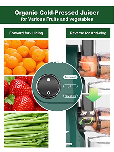 Cold Press Juicer, Bpa-Free Masticating Juicer With Reverse Function, Fruit And Vegetable Extractor With Pulp Remover, Quiet Motor & Easy To Clean With Brush, Slow Juicer For Ginger Carrot Beetroot #TOP1