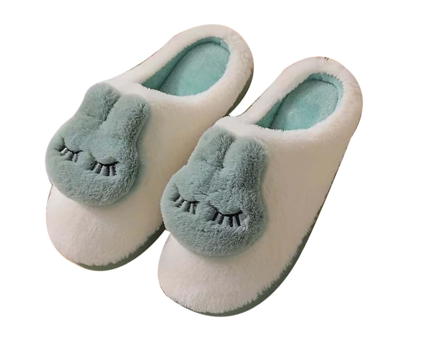 NAT Soft Warm Winter Fluffy Indoor Fur Slipper Fluffy Flip-Flops for Women or Girls (Free Size) (Green) (B0DBLRRK46) Amazon Price History, Amazon Price Tracker