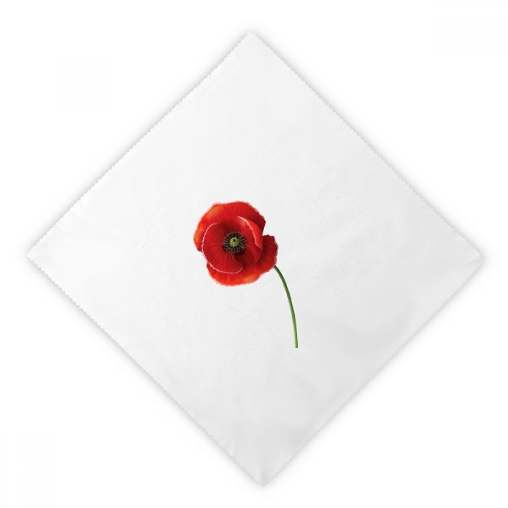 Serviettes en tissu lavables pour remplacer le papier jetable au dîner lot de 2