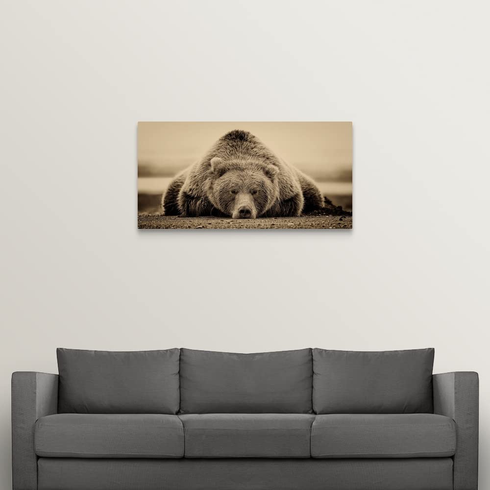GREATBIGCANVAS Deep Sleep Canvas Wall Art, Bear Home Decor Artwork, Sepia Nature Photography by PH Burchett, Whimsical Rustic Cabin Print, 48"x24"
