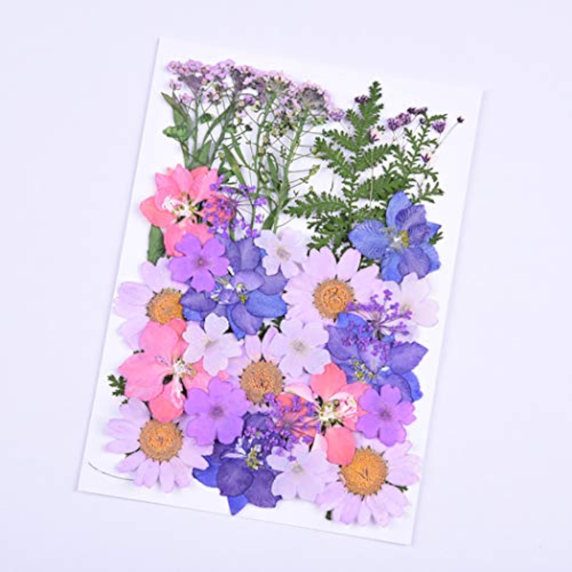 34PCS Dried Flower Multifunctional Decorative Kit for Crafts