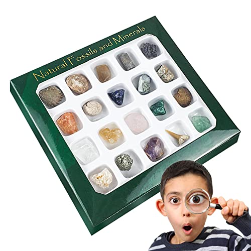 Pratvider Kit de minerales - Caja de recogida de minerales, 20 piezas de muestra de minerales de la industria de las ciencias de la tierra