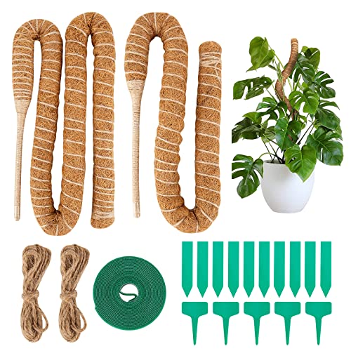 Monstera Kletterstab – Die 15 besten Produkte im Vergleich & Angebote ...