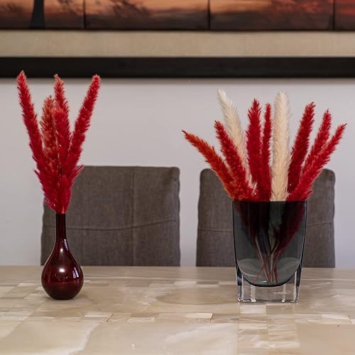 Miniatura 2 de Hierba natural de las pampas para decoración del hogar, 15 tallos completos y esponjosos, hierbas reales altas de 15.7 in para decoración de sala de