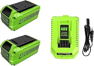 6000mAh 40V Li-ion High Capacity Replacement Battery with 100-240V AC Charger Compatible for GreenWorks G-MAX Lawn Mowers and Gardening Tools(2 Battery 1 Charger)