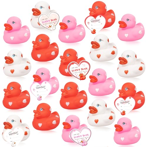 Rubber Ducks Cards Gift