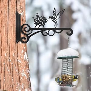 2 Pack 10 Inch Aesthetic Plant Hangers Outdoor–Metal Hanging Plant Bracket with Beautiful Hummingbird Pattern–Heavy Duty Plant Hooks for Hanging Plants Bird Feeder Wind Chime Lantern