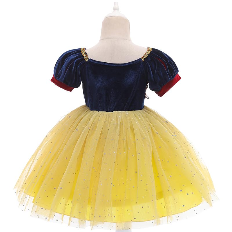 Girls Princess Dress, Girls Blue and Yellow Velvet Deluxe Lace Embroidered Ball Gown4