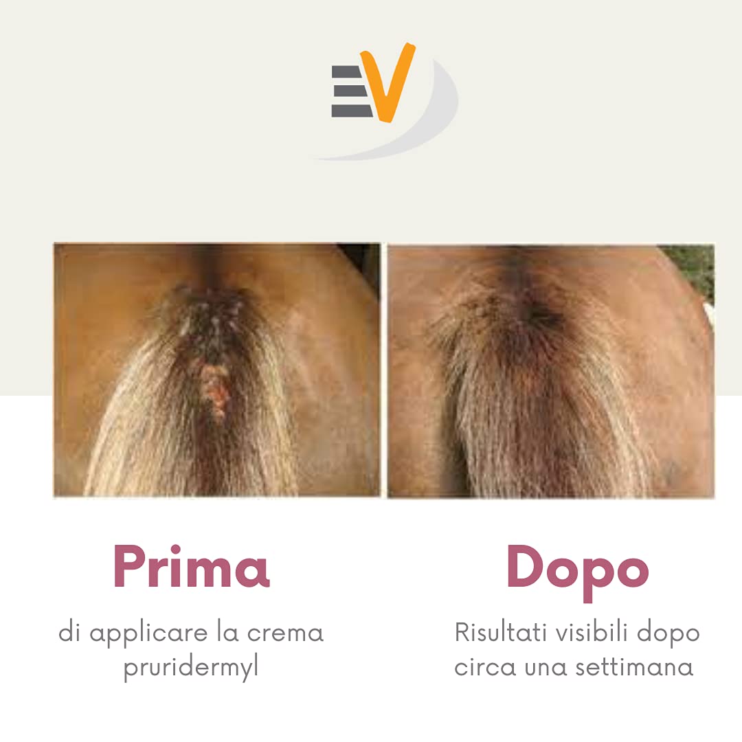 Pruridermyl Cavallo Crema contro Dermatite, Arrossamenti, Prurito, Irritazione - Trattamento per cavalli 100% naturale Flacone da 500 ml