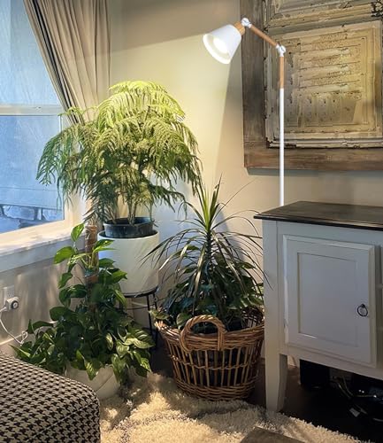 Image of HMVPL Grow Lights for Indoor Plants Full Spectrum, Plant Lights for Indoor Growing with 20W COB Grow Light Blub, 4 /8 /12H Timer, Standing Tall Grow Lamp for Middle Large Plants(75'', Height Adjustable)