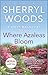 Where Azaleas Bloom: A Novel  A Netflix Series Tie-In Contemporary Romance and Women's Fiction Story (A Sweet Magnolias Novel, 10)