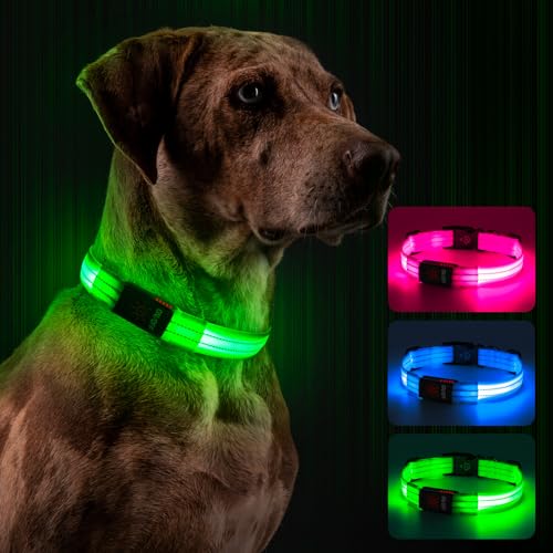 Leuchthalsband Hund, Hundehalsband Leuchtend Aufladbar mit Batteriekontrollleuchte, Wasserdichtes LED Hundegeschirr Leuchtend, Einstellbare Größe 3 Blinkende Lichter