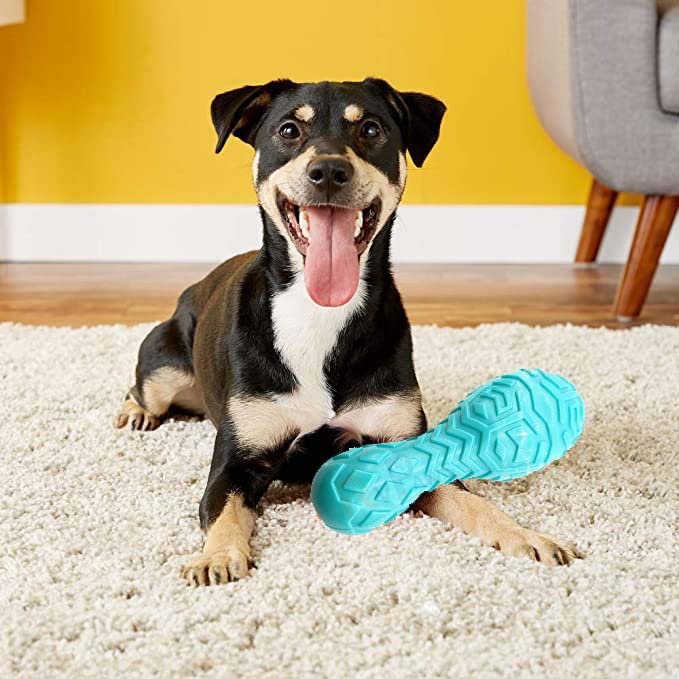 Woofy Pets Squeaky Rubber Bouncin Bowlin Pin Interactive Chewable Toys for Dogs and Cats - Medium (B0BPS96HSG) Amazon Price History, Amazon Price Tracker