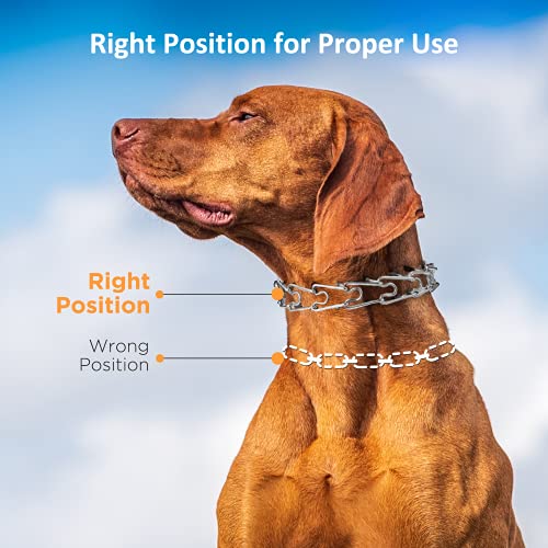 Patpet Dog No Pull Collar For Small Medium Large Dogs #TOP2