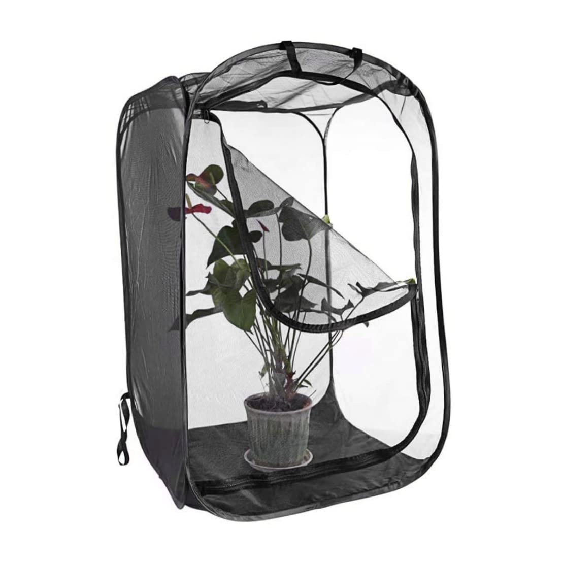 Cage Papillon 16x16x24inch Maison Transparente Pliable avec Fermeture éclair