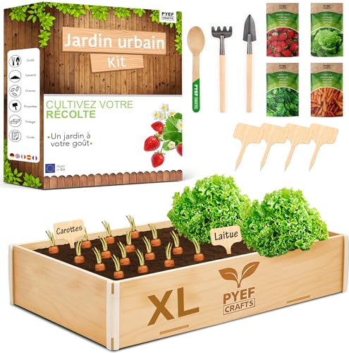 PYEF CRAFTS Kit Jardinage Potager Interieur XL Kit Indoor Prêt à Pousser - DIY Potager D'interieur pour Plante a Faire Pousser - Plantation Plantes...