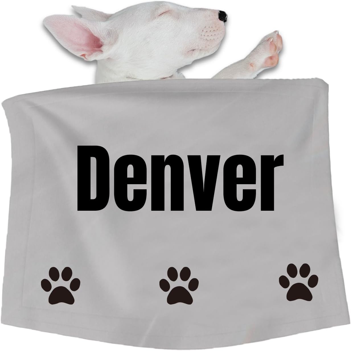 Personalized Dog Blanket，Customized Pet Name Blanket for Sofa and Bed，Puppy Kitten Blanket Soft，Suit Small, Medium, and Large Dogs and Puppies (Pink, Large (39.4" x 27.6"))