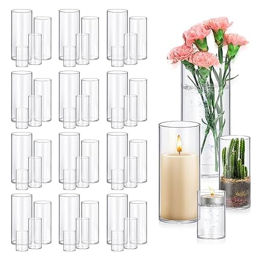 48 Pack Clear Glass Cylinder Vases