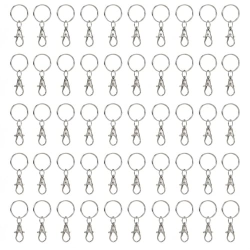 WaxYxaW 100 Pièces Anneaux Mousqueton Porte Clef Métal, Fermoir Mousqueton – vue 7