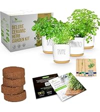 Amazon.com : Deluxe Ceramic Indoor Herb Kit 4 Set. Variety Herbs