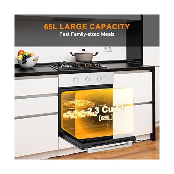 Single Wall Oven 24 inch, GASLAND Chef ES606MSN Builtin Electric Ovens