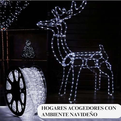 Encuentra reviews de Mangueras LED de bajo consumo favoritos de las personas. 2 Imagen adicional