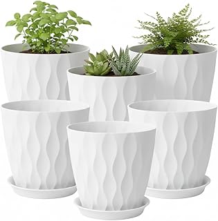 Plant Plastic Pots with Drainage and Saucer