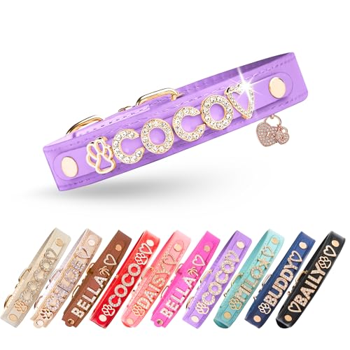 Paws Paws Miami Custom Dog Collar with Name Charms