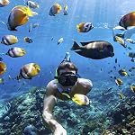 516T4zdBtIL. SS150 GoPro-HERO8-Black-Waterproof-Action-Camera-with-Touch-Screen-4K-Ultra-HD-Video-12MP-Photos-1080p-Live-Streaming-Stabilization