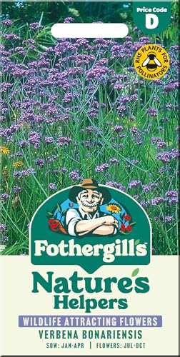 Fothergill's Verbena Bonariensis Seeds for Planting UK - Blu