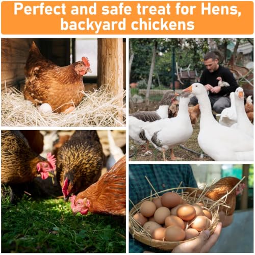 Image of MAQIHAN 10oz Chicken Nesting Herbs - Dried Herbs Supplement for Laying Hens
