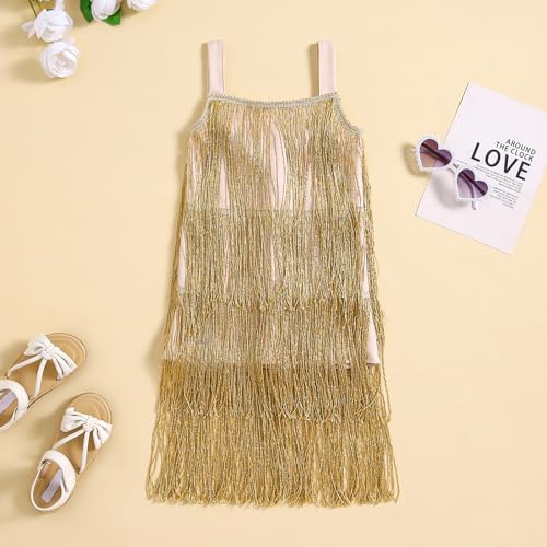 Toddler Girl Tassel Dress Sleeveless Sequin Fringe Layer Dress Flapper Slip Dress Holiday Dance Party Dresses2