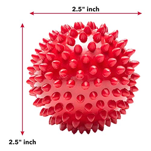 Image of Meat Up 100% Veg Adult Dry Dog Food, 3kg (Buy 1 Get 1 Free)&Meat Up Non-Toxic Rubber Stud Spike Hard Ball Chew Toy, Puppy /Dog Teething Toy - 3 inches
