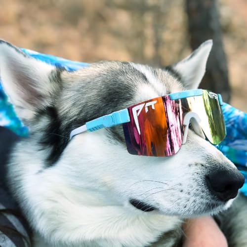 Image of Pit Viper Sunglasses I Narrow Fit - Small Adult & Kids 8-12 I Original Retro Model I Polarized Polycarbonate Lens