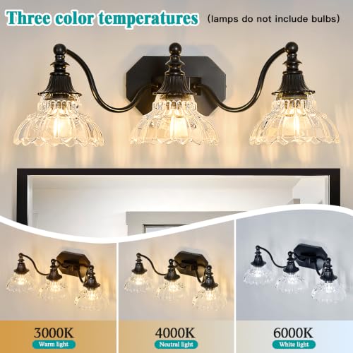 Image of hesoge Farmhouse Bathroom Light Fixture Vintage Vanity Light with Crystal Glass Shade Black 3 Light Wall Mount Lamp Over Mirror