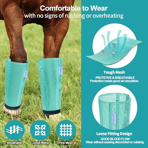 Image of Mesh Horse Fly Boots Set of 4, Loose Fitting Leggings for Horses, Reduce Stressful Stomping, Breathable Adjustable and Universal Fit for 4 Legs, Reliable Stay Put (Mint)