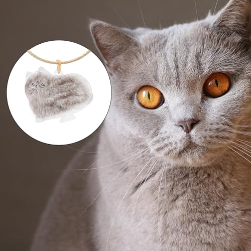 BOXOB 2stk Schlüsselanhänger mit Katzenhaarsammler, Transparenter Anhänger aus Einer Flasche zur Aufbewahrung von Katzenhaaren mit Goldenem Schlüsselring Nachdenkliches Geschenk für Tierliebhaber