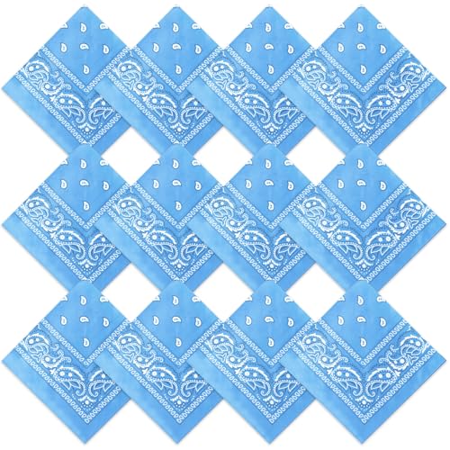 Suhine 12 Pcs Bandanas Bulk for Women Men 22 x 22 Inch Paisley Headband Cowboy Handkerchief Summer Beach Party Costume(Sky Blue)