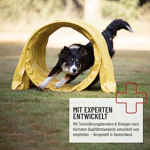 ReaVET Junior Complete für Hunde - Natürliche Knochenentwicklung für Welpen & Junghunde – Mit Grünlippmuschel, Hagebutte, Eierschalenpulver & Spirulina – Unterstützt Knochen, Gelenke & Sehnen 250g