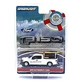 Greenlight 29899 2016 Ford F-150 with Lifeguard Accessories Hobby Exclusive 1/64 Diecast Model Car