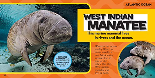 Little Kids First Big Book of The Ocean