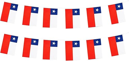 Miniatura 109 de Bandera de Argentina pequeña mini bandera argentina decoración para desfiles, fiestas, aulas, jardines y festivales (Argentina)