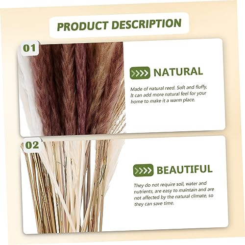 ABOOFAN 300 Peças Flores De Junco Secas Da Fazenda De Mesa Grama Artificial Arranjo De Junco Para Br