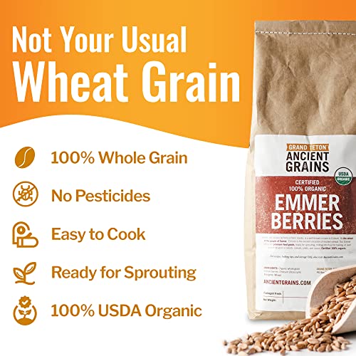 Grand Teton - 5lb Organic Emmer Berries