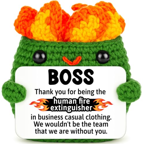 Positive Crochet Dumpster Raging Fire Boss Appreciation Gift Manager