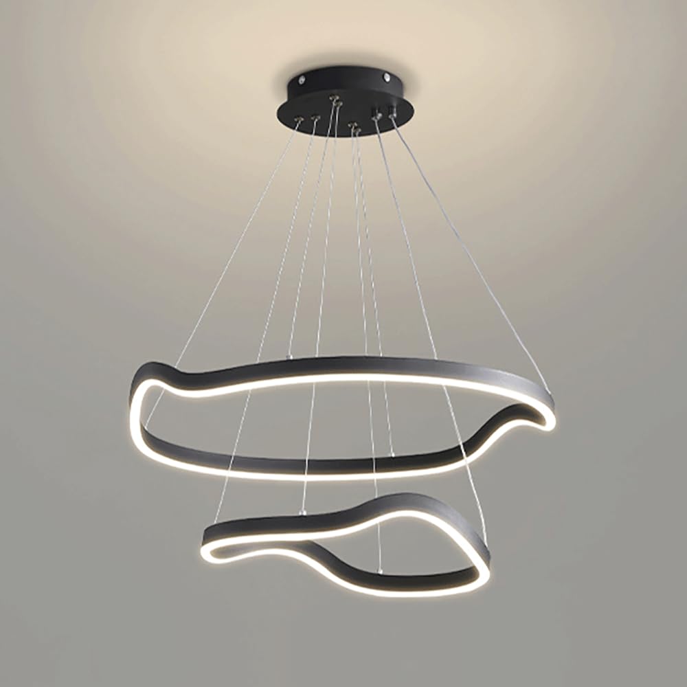 Lustre à anneau ultra-fin à 2 lumières noir et acrylique pour salon moderne