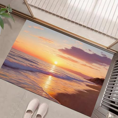 Tapis de porte extérieur imperméable 50x80 lavable tapis robuste