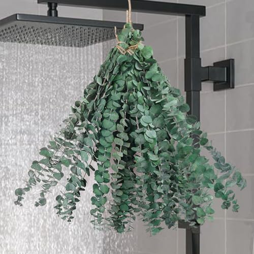 Tallos de eucalipto seco, 15 piezas de eucalipto para decoración de ducha, plantas secas, hojas colgantes de eucalipto, ramas para decoración de baño (15 piezas)