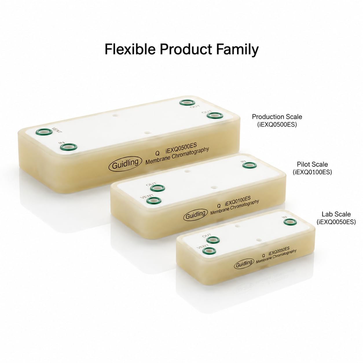 WCX Membrane Chromatography Module, Weak Cation Exchange Membrane for Protein Antibody Purification, High Flow Rate, Up to 40× Faster Processing, FPLC Compatible, Lab to Production Scale (150ml(1pc))