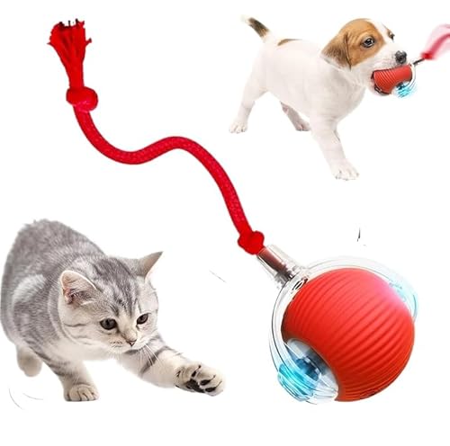 猫 おもちゃ ボール 電動おもちゃ トンボの羽 自動回転 光る 3モード スマート自動ローリング ねこの好奇心を刺激 一人遊び USB充電式 ボール 猫大興奮 運動不足解消グッズ ペット 猫のおもちゃ (レッド)